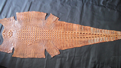 Imitación cocodrilo