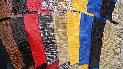 Imitación cocodrilo de colores